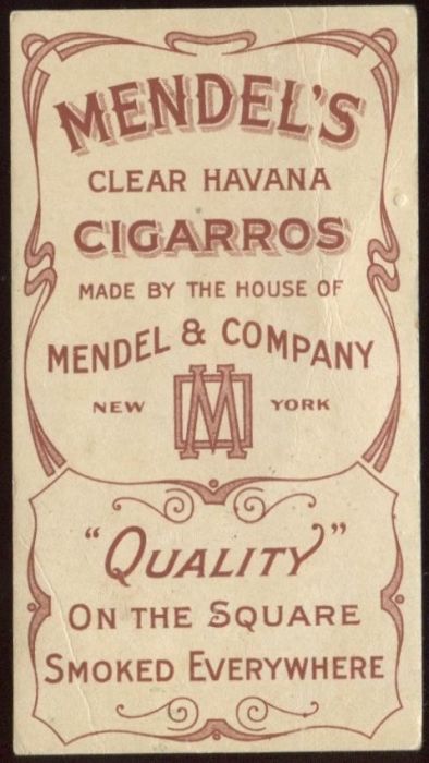 T228 Mendel's Clear Havana Cigarros Speed Champions